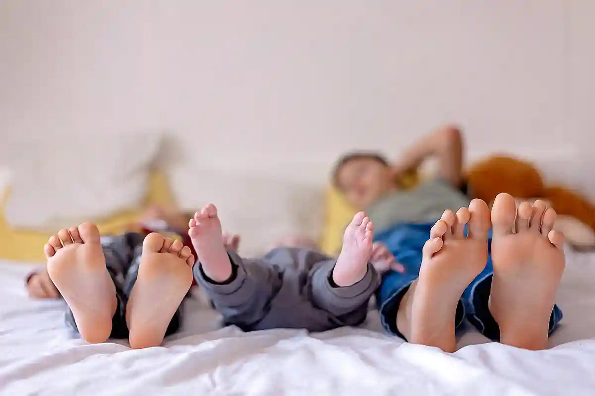 Descanso y regulación